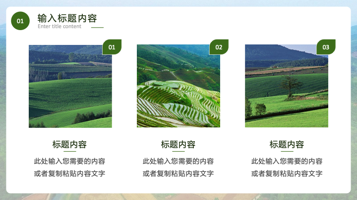 清新绿叶风三下乡社会实践报告PPT模板